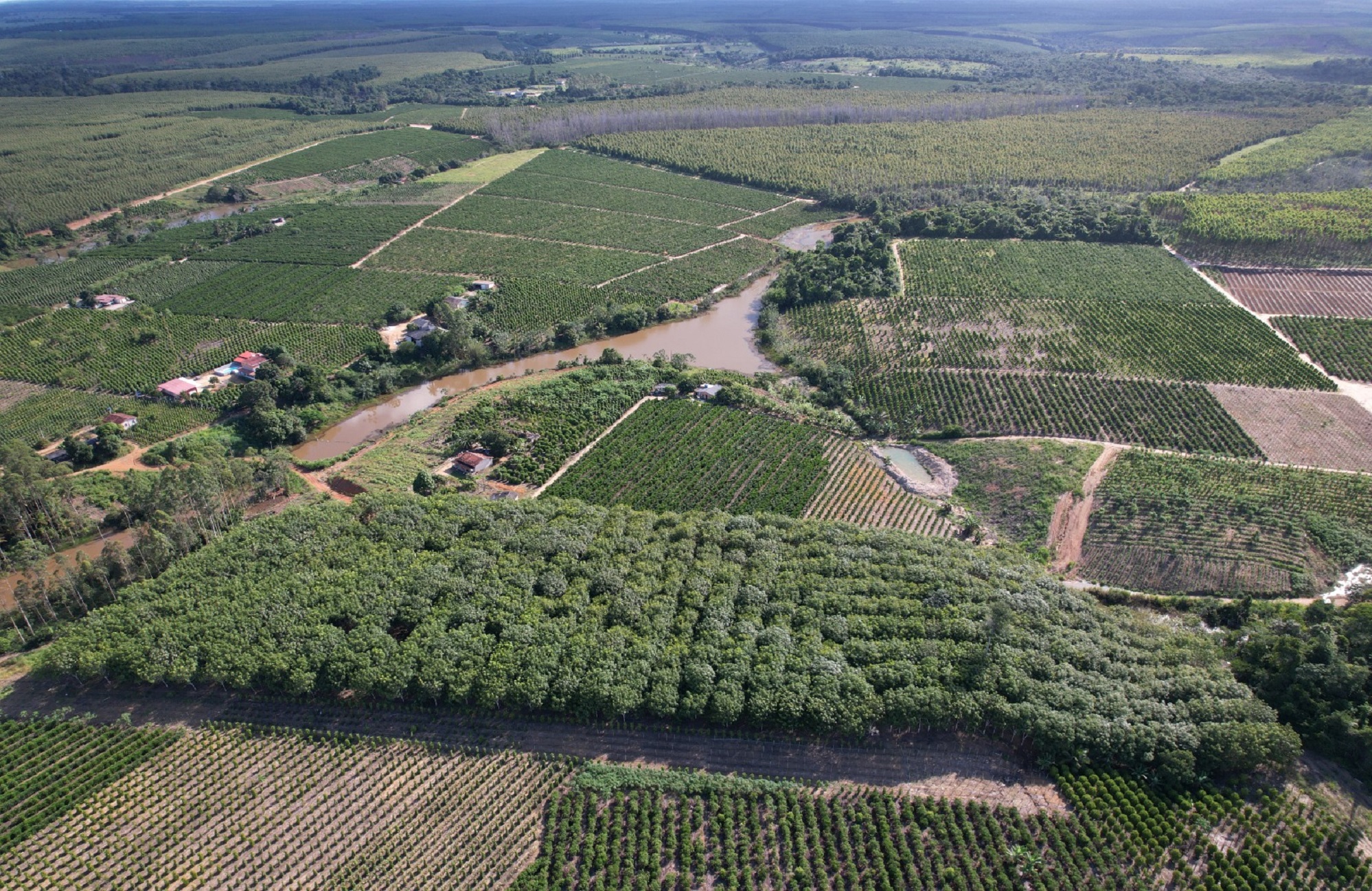 SÃO MATEUS É A MELHOR CIDADE DO ESPÍRITO SANTO PARA FAZER NEGÓCIOS NO AGRO, APONTA REVISTA EXAME