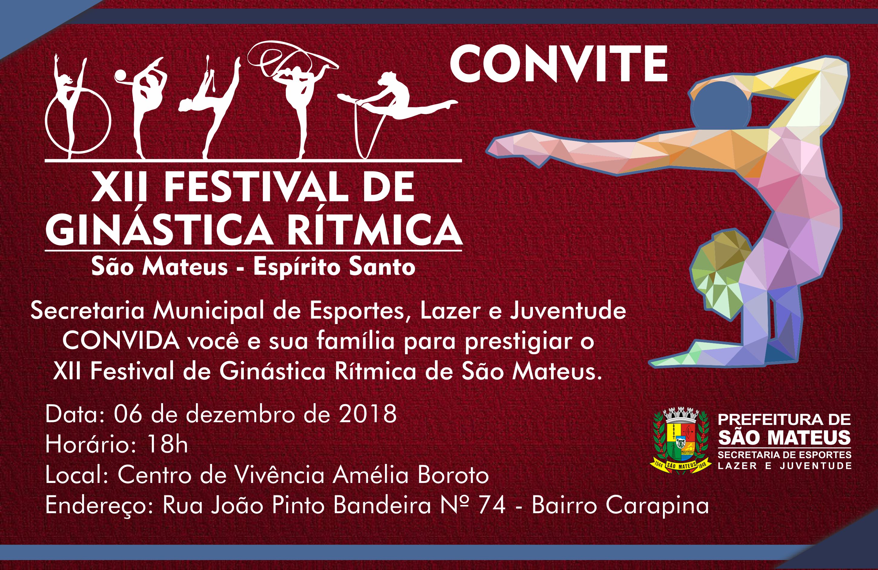 XII Festival de Ginastica Rítmica apresentará alunas do projeto “Campeões do Futuro”