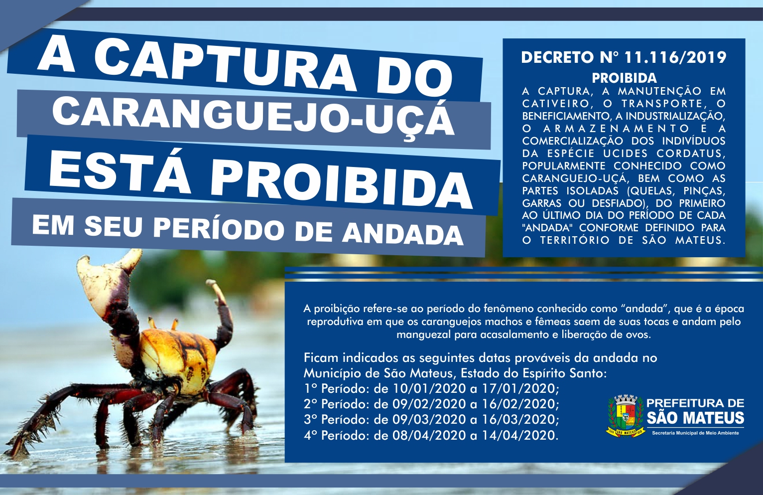 PREFEITURA DE SÃO MATEUS ANUNCIA PERÍODO DE DEFESO DO CARANGUEJO-UÇÁ
