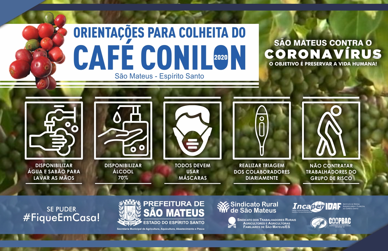 PREFEITURA DE SÃO MATEUS ORIENTA: PRODUTORES DEVEM REDOBRAR CUIDADOS PARA A COLHEITA DO CAFÉ