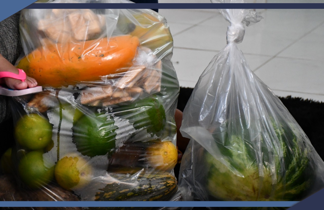 850 FAMÍLIAS SÃO BENEFICIADAS COM ALIMENTOS PRODUZIDOS PELA AGRICULTURA FAMILIAR EM SÃO MATEUS